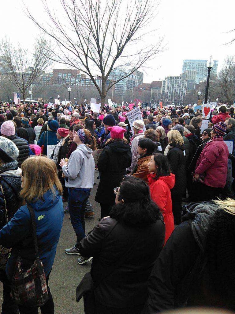 Dense crowd of people is depicted standing on Boston Common.  The people in the image all face to the right as if listening to a speaker. One person holds a sign.